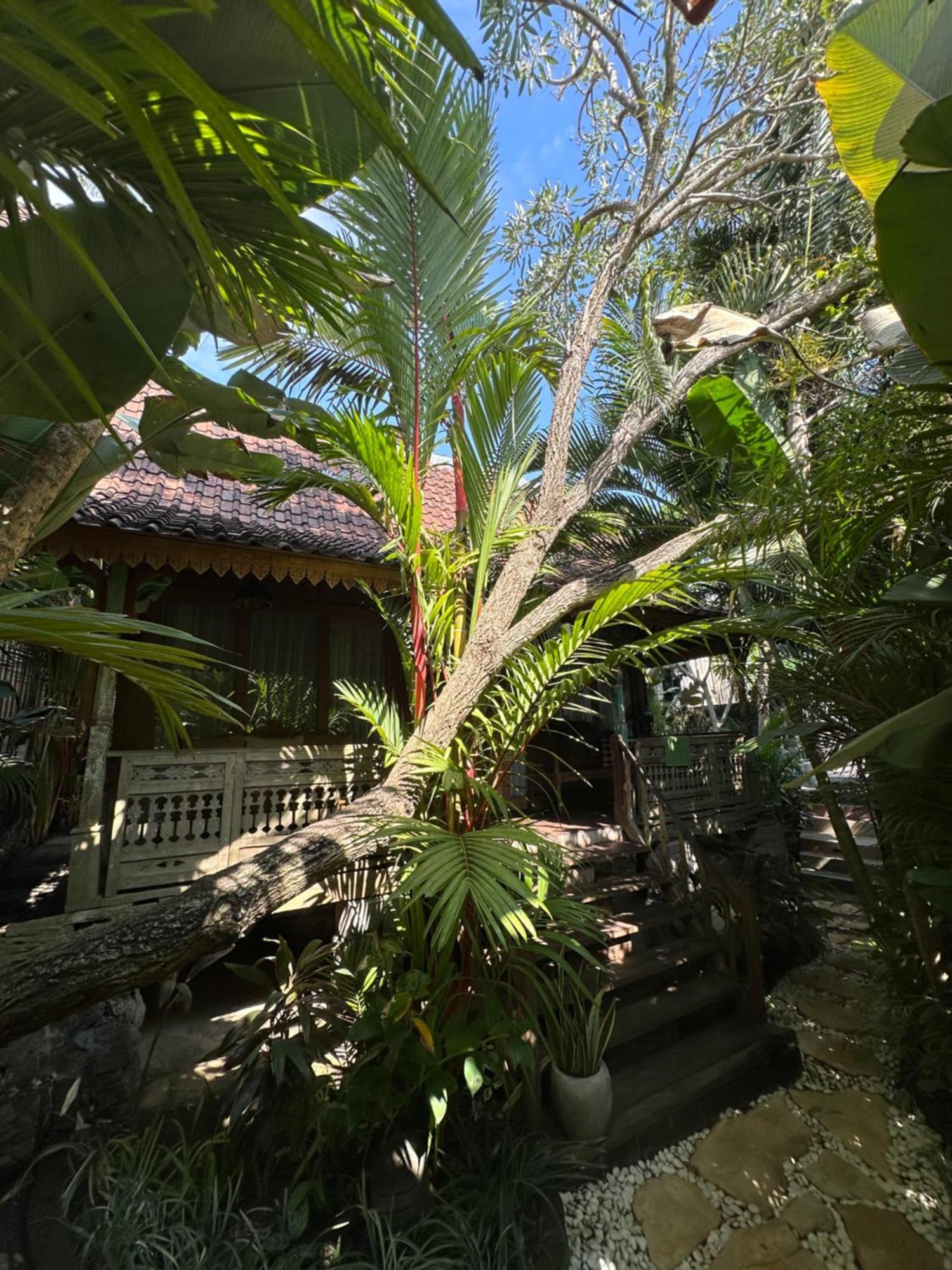 Umakayu Joglo Villa Canggu - Boutique Hotel Exterior photo